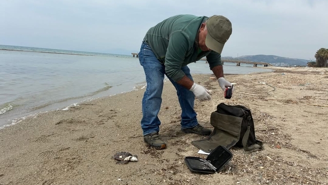 Kuşadası'nda iki deniz kaplumbağası ölü bulundu