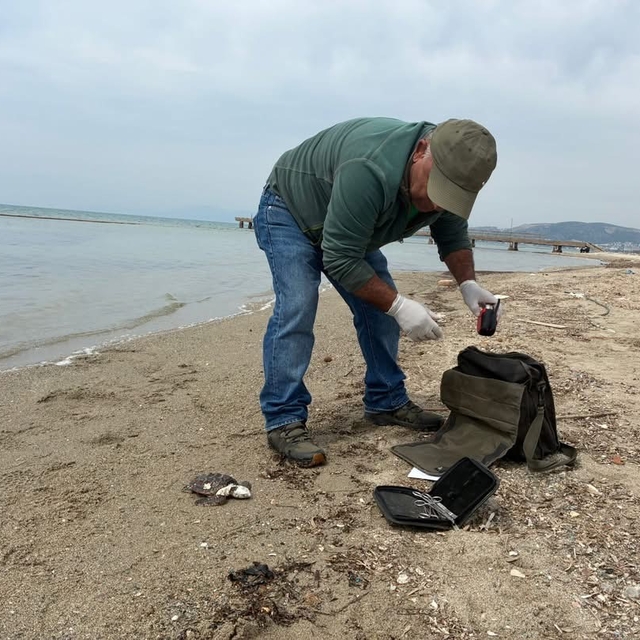 Kuşadası'nda iki deniz kaplumbağası ölü bulundu