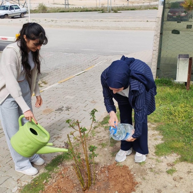 Emet MYO kampüsüne gül fidanı dikimi