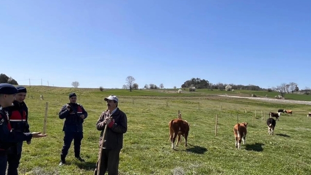 Bilecik'te hayvan hırsızlığı ve dolandırıcılık uyarısı