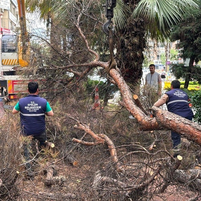 Efeler Belediyesi parkları güvenli hale getiriyor