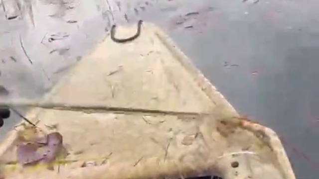 'Nilüfer Cenneti'nde kaçak avcılığa 'dur' denildi