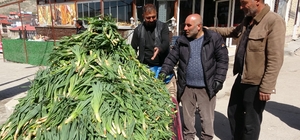 Van'da şifa kaynağı 'çiriş otu' tezgahlardaki yerini aldı
Dağlardan sofrala...