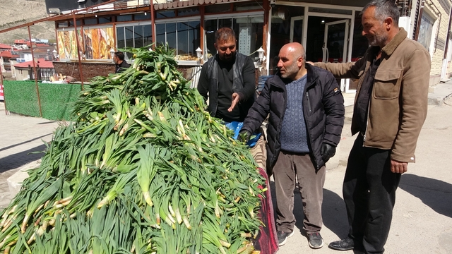 Van'da şifa kaynağı 'çiriş otu' tezgahlardaki yerini aldı
Dağlardan sofralara: Van'da çiriş otunun kilosu 100 TL'den satılıyor