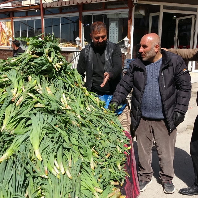 Van'da şifa kaynağı 'çiriş otu' tezgahlardaki yerini aldı
Dağlardan sofrala...