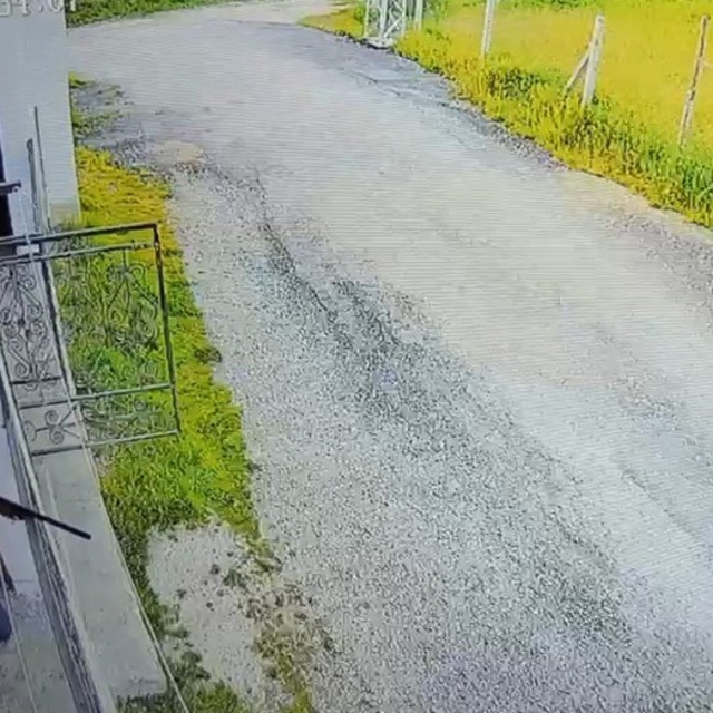 Komşusuna tüfekle ateş açan zanlı tutuklandı