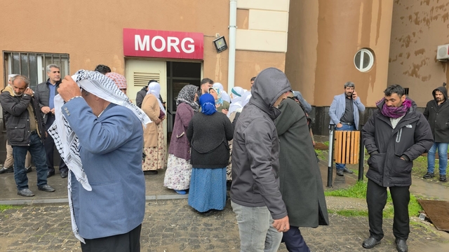 Diyarbakır'da yıldırım çarpması sonucu 2 kuzen hayatını kaybetti