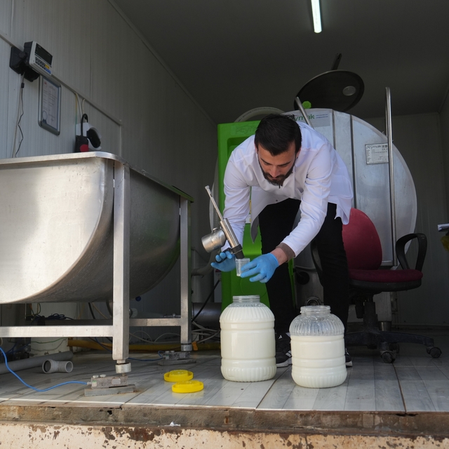 Muş'ta çiğ süt soğuk zincir projesi hayata geçti