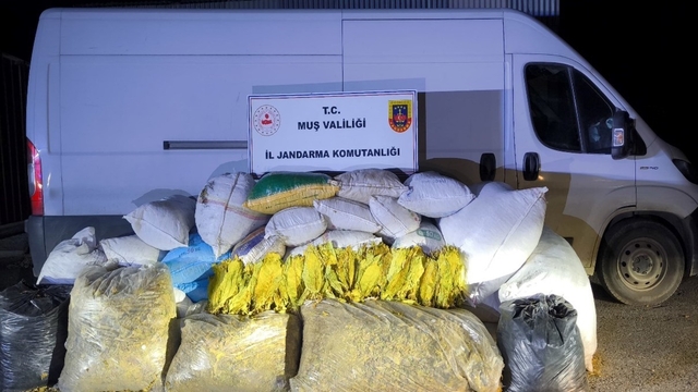 Muş'ta 1 ton 200 kilogram bandrolsüz tütün ele geçirildi