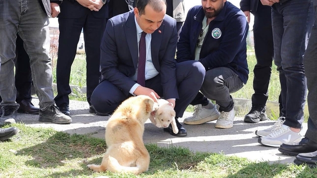 Vali Taşolar, Iğdır Geçici Hayvan Bakımevi'ni ziyaret etti