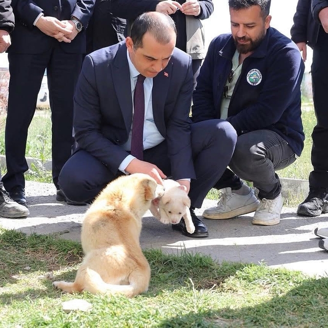 Vali Taşolar, Iğdır Geçici Hayvan Bakımevi'ni ziyaret etti
