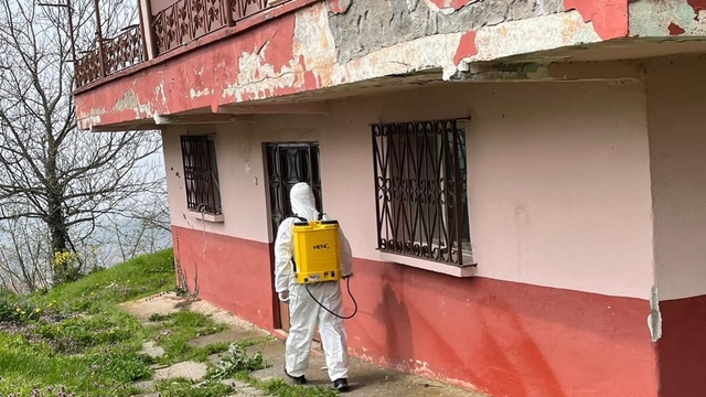 Kaynaşlı ve Yığılca'da Kahverengi Kokarcayla mücadele sürüyor