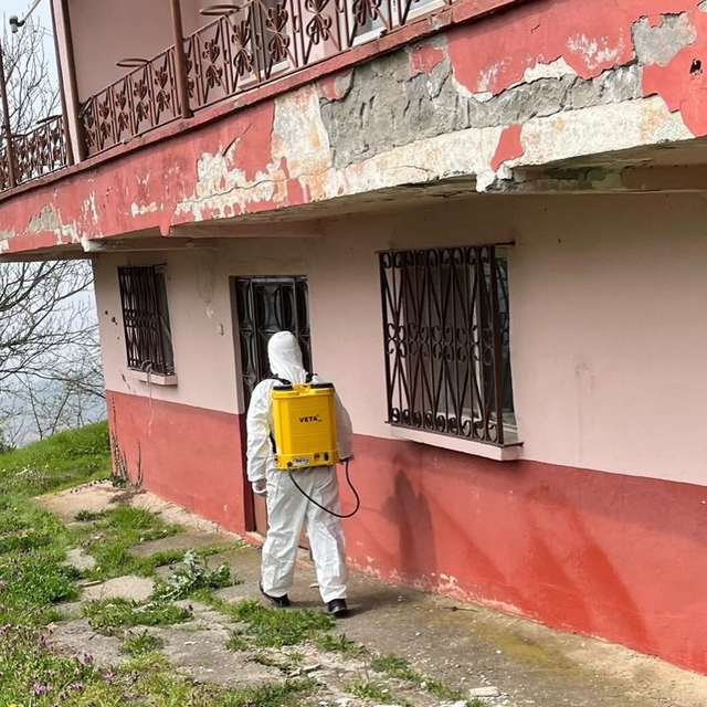 Kaynaşlı ve Yığılca'da Kahverengi Kokarcayla mücadele sürüyor