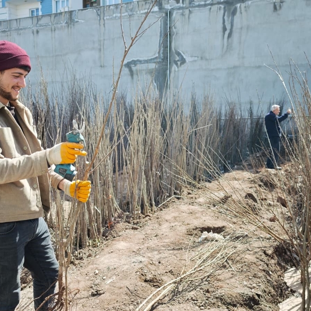 Ahlat'ta meyve fidanlarına ilgi