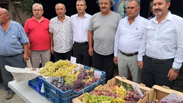 Avşar Üzümü coğrafi işaretle tescillendi