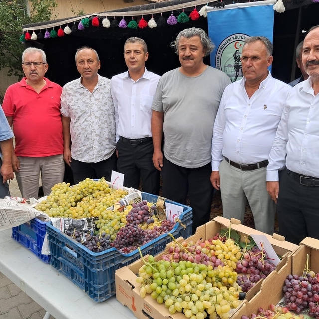 Avşar Üzümü coğrafi işaretle tescillendi