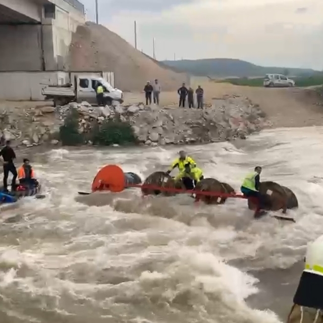 İşçilerini taşıyan traktör dereden geçerken devrildi: 10 işçi vinç yardımıy...