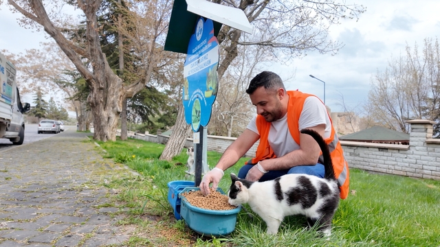 Elazığ'da sokak hayvanlarına mama desteği sürüyor