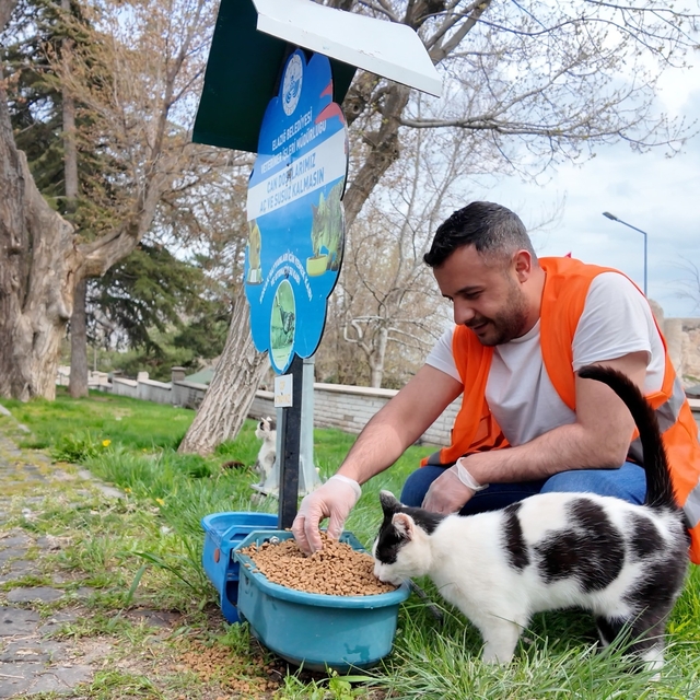 Elazığ'da sokak hayvanlarına mama desteği sürüyor