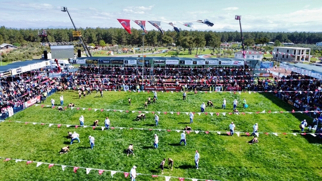 Kepez'de pehlivanlar dualı çayıra çıktı