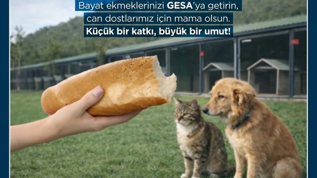 Germencik'te bayat ekmekler can dostlara mama oluyor