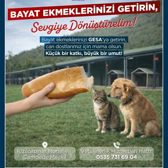 Germencik'te bayat ekmekler can dostlara mama oluyor