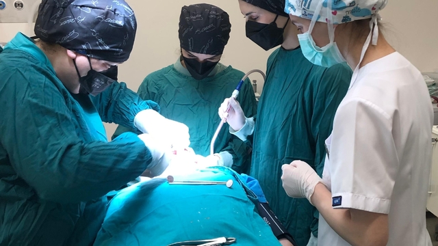 Ordu'da özel bireylerin diş problemlerine etkili çözüm