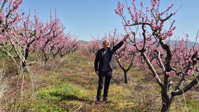 Elazığ'da meyve bahçelerinde entegre mücadele çalışması