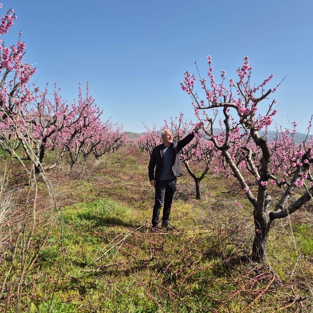 Elazığ'da meyve bahçelerinde entegre mücadele çalışması