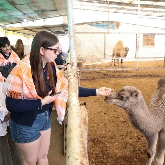 Estonyalı öğrenciler deve çiftliğini gezdi