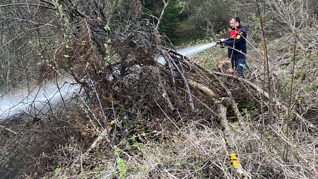 Ormanlık alanda çıkan yangın büyümeden söndürüldü