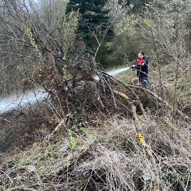 Ormanlık alanda çıkan yangın büyümeden söndürüldü