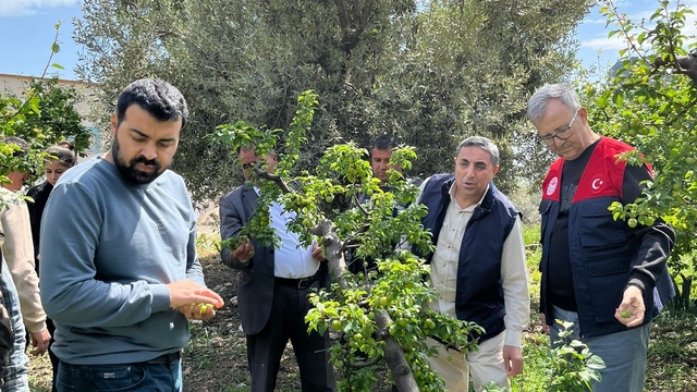 Dolu afeti sonrası hasar tespit çalışmalarına başlandı