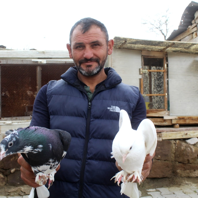 Hobi olarak başladığı güvercin tutkusunu 35 yıldır sürdürüyor