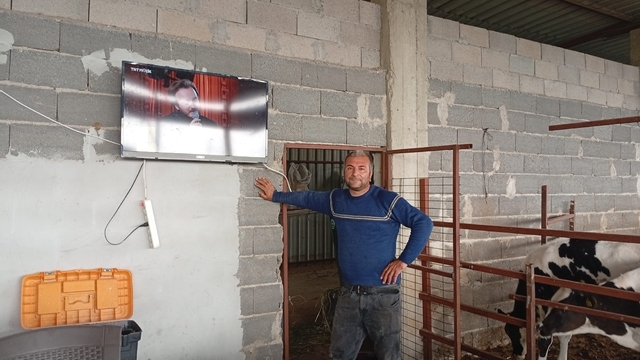 Adanalı üreticiden süt verimi için ilginç yöntem
İneklerin süt verimi için ahıra televizyon kurdu