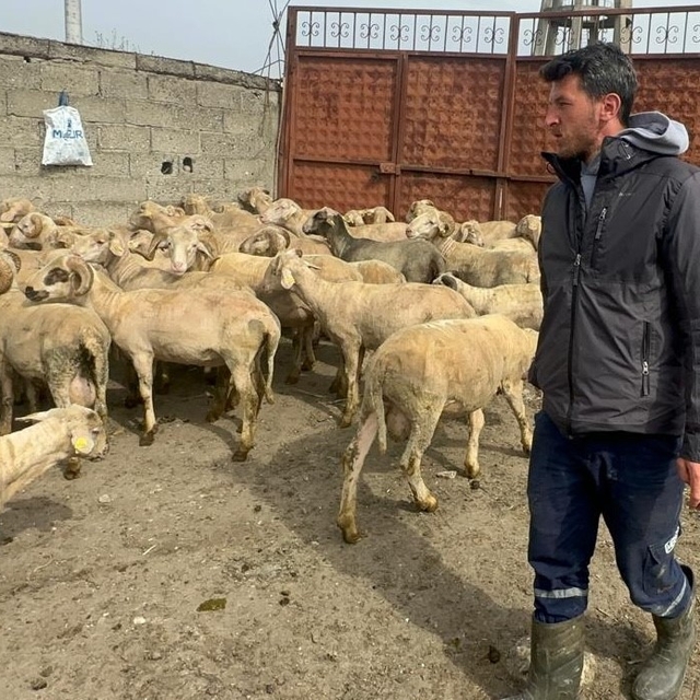 Kurbanlık parasıyla evlenmişti şimdi doğacak bebeği için kullanacak