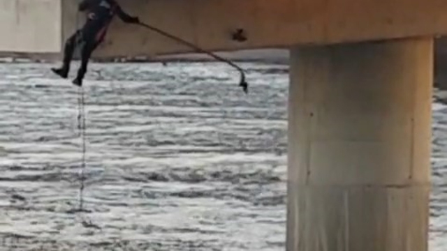 Asılı kalan güvercini halatla inip kurtardılar