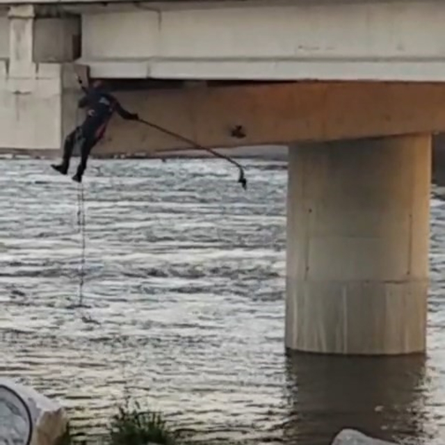 Asılı kalan güvercini halatla inip kurtardılar