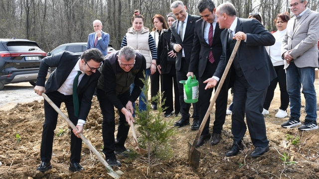 Samsun'da ormanlar ağaçlandırılıyor