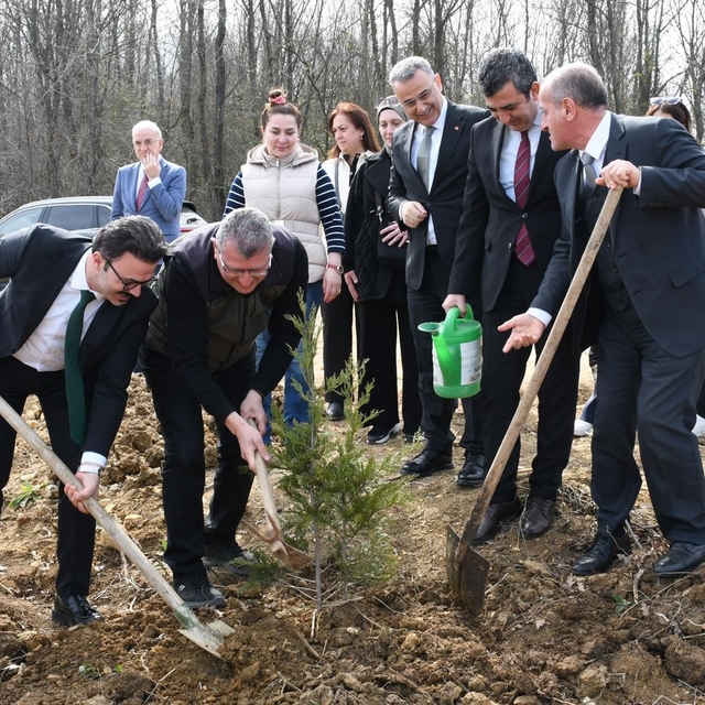 Samsun'da ormanlar ağaçlandırılıyor