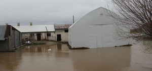 Baraj taştı, köy tamamen sular altında kaldı