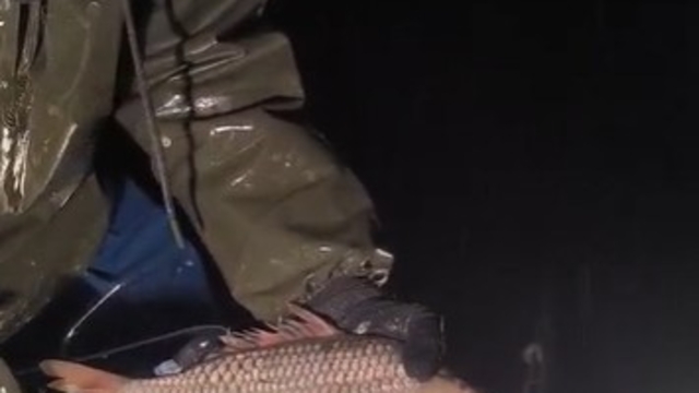 Kovada Gölü'nde yasa dışı avcılığa geçit yok: Kaçak avcılıkta kullanılan 7 çuval ağa el konulurken, balıklar tekrar göle salındı