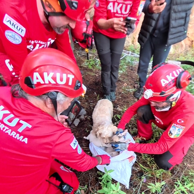 Kaya içerisindeki yarığa düşen 6 yavru köpek için film gibi kurtarma operas...