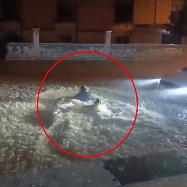 Sağanakta göle dönen sokakta yüzdü