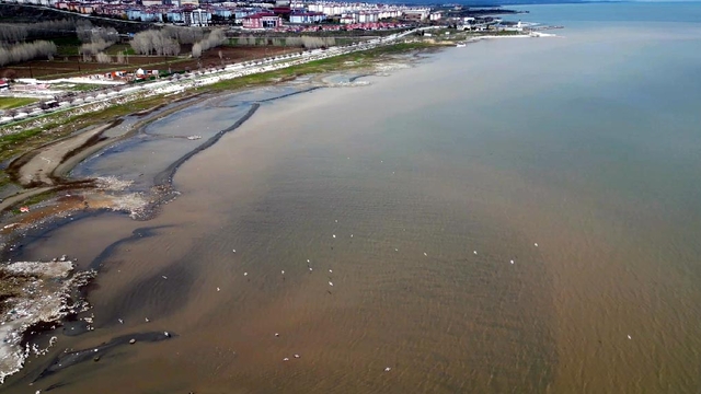 Van Gölü kıyılarında suyun rengi kahverengiye döndü