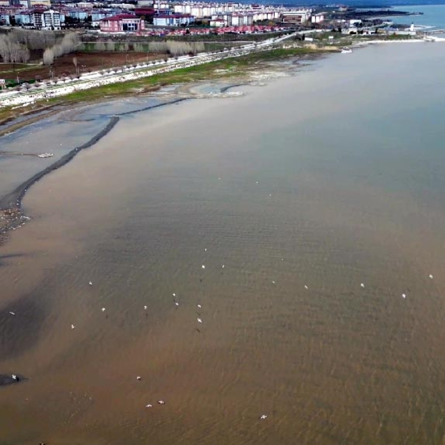 Van Gölü kıyılarında suyun rengi kahverengiye döndü
