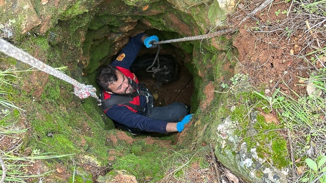 Kuyuya düşen keçiyi itfaiye kurtardı