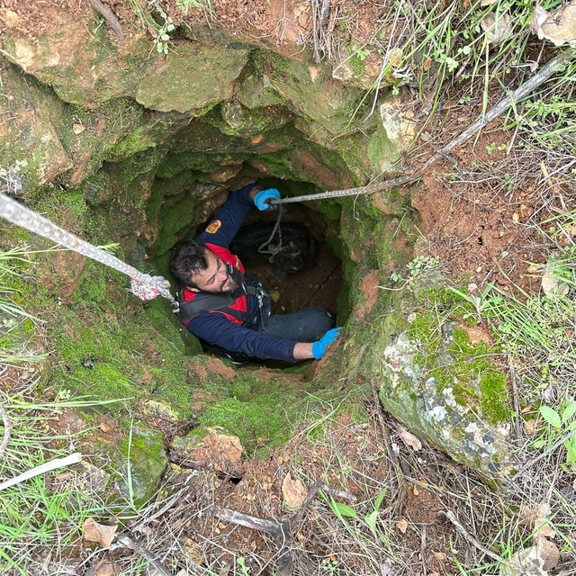 Kuyuya düşen keçiyi itfaiye kurtardı