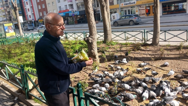 Dükkanının önüne gelen onlarca güvercini doyuruyor
Güvercinlerin Burhan dedesi