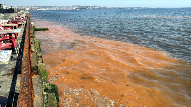 Tekirdağ sahilinde alg patlaması nedeniyle deniz turuncu renge büründü
